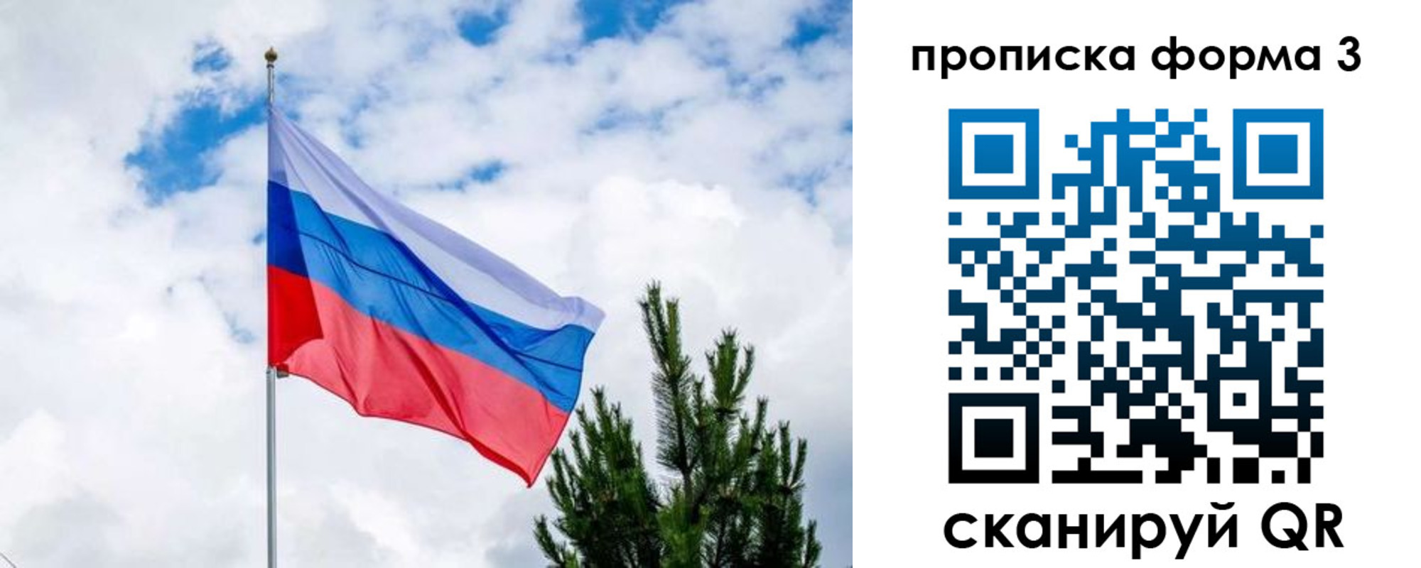 прописка для школы в Северске
